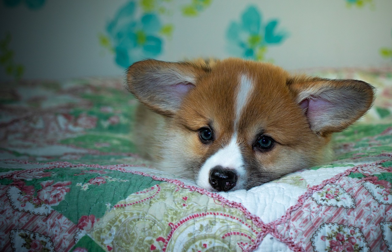 99exch: In‑Depth Review of India’s Premier Digital Exchange Platform